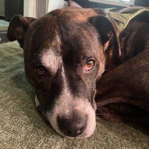 I will always consider offers